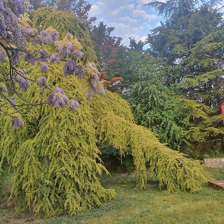 Gite Au Coeur De La Provence & Spa Saint-Cannat Eksteriør billede