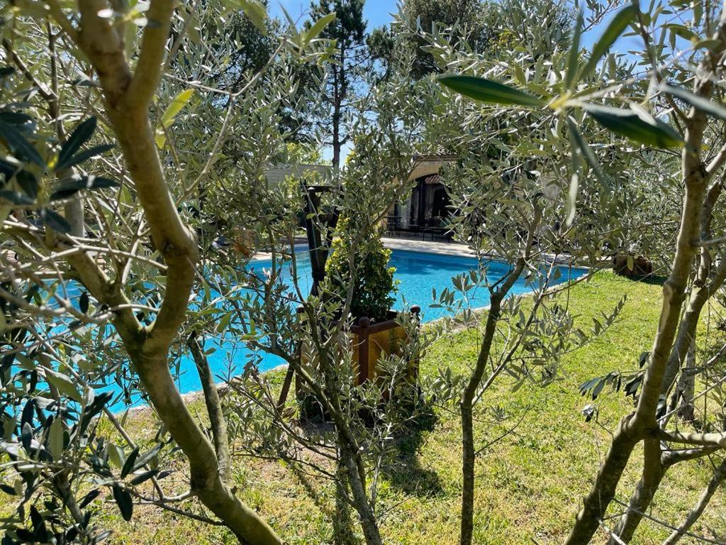 Gite Au Coeur De La Provence & Spa Saint-Cannat Eksteriør billede