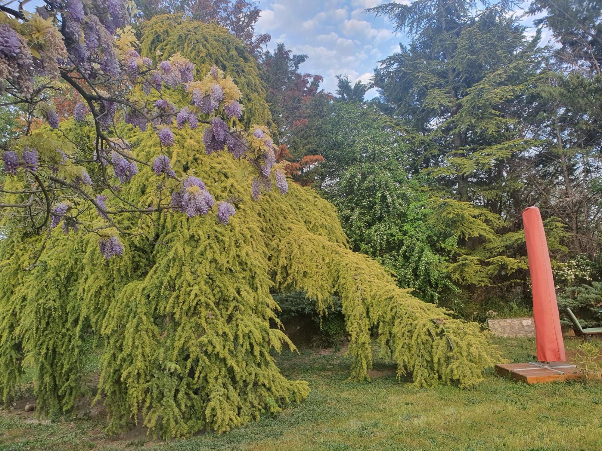 Gite Au Coeur De La Provence & Spa Saint-Cannat Eksteriør billede